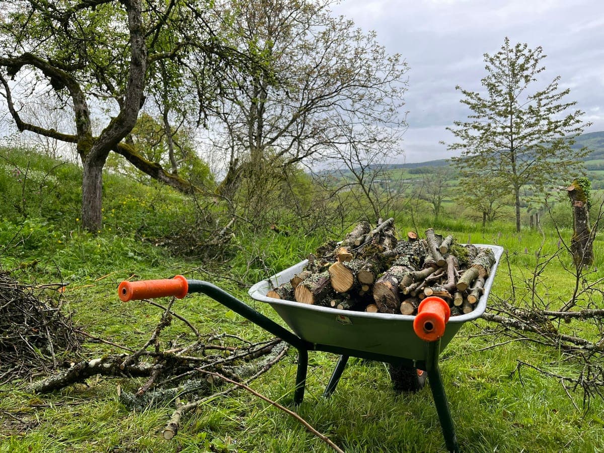 Schubkarre mit Holz und Grünschnitt in einem Garten